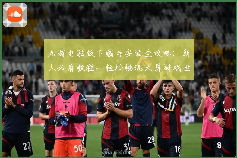 九游电脑版下载与安装全攻略：新人必看教程，轻松畅玩大屏游戏世界